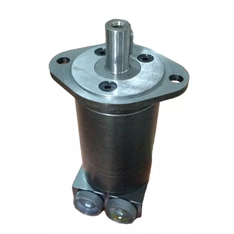 50 RPM Low-Speed ​​High-Torque Motors Hydraulic